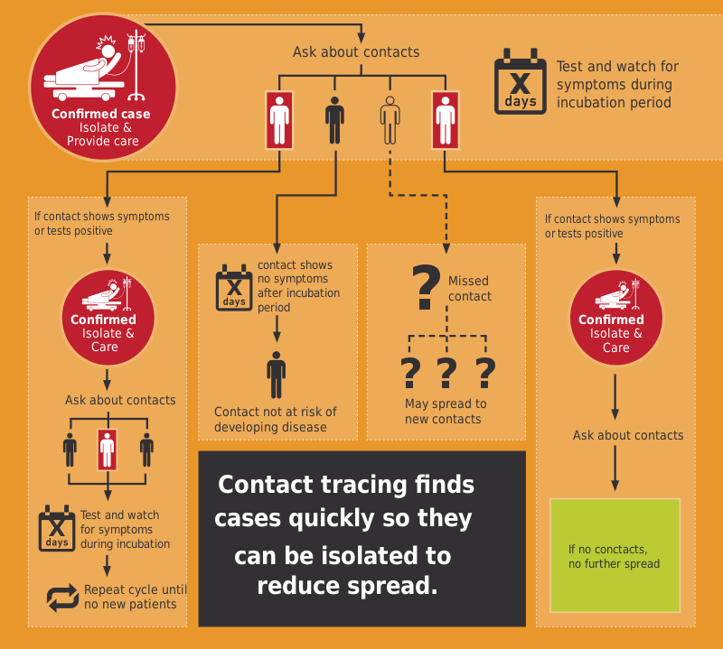 Illustrazione del Contact Tracing - credit CFCF